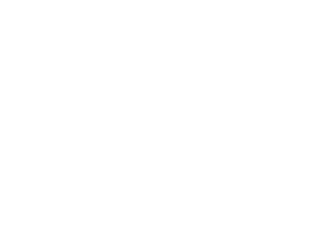 IQ Limousine – #1 Best Limo Service in Chicago 39 icon
